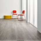 Forbo Allura Flex 55 - Grey Giant Oak 60280FL5 | selbstliegender Vinylboden