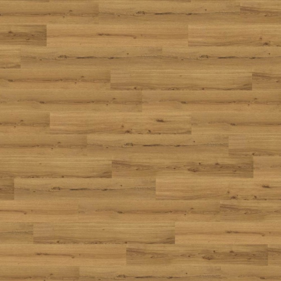Amorim Wise Wood - Country Prime Oak ADF8001 | Rigid-Korkboden