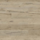 KWG Antigua Green - Eiche Akzent 217005 | Klick-BioBoden