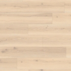 Tarkett - Sockelleiste Forest Oak Pistaccio Shell 26646030