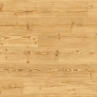 Tarkett iD Inspiration 30 Naturals - Classic Pine Natural 24524065 | Klebe-Vinylboden