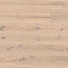 Tarkett iD Inspiration 30 Naturals - Forest Oak Natural 24524031 | Klebe-Vinylboden