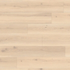 Tarkett iD Inspiration 30 Naturals - Forest Oak Pistaccio Shell 24524030 | Klebe-Vinylboden