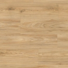 Tarkett iD Inspiration 30 Naturals - Brushed Elm Brown 24526057 | Klebe-Vinylboden