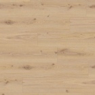 Tarkett iD Inspiration 70 Authentics - Delicate Oak Almond 24502092 | Klebe-Vinylboden