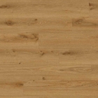 Tarkett iD Click Solid 55 Authentics - Delicate Oak Toffee 24616093 | Rigid-Klickvinyl