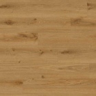 Tarkett iD Click Solid 30 Authentics - Delicate Oak Toffee 24627093 | Rigid-Klickvinyl