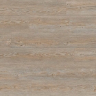 Tarkett - Sockelleiste Brushed Pine Grey 26646005