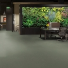 Gerflor Symbioz - Kaki 6067 | Rollenware