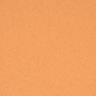 Gerflor Symbioz - Tangelo 6025 | Rollenware