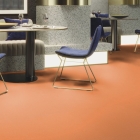 Gerflor Symbioz - Tangelo 6025 | Rollenware