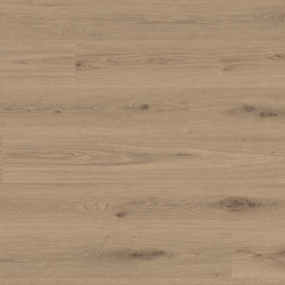 Tarkett Starfloor Click Ultimate 55 - Delicate Oak Chesnut 35992024 | Rigid-Klickvinyl