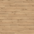 Wineo 1200 XL - Announcing Fritz PL271R | BioBoden