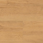 Wineo 1200 XL - Lets go Max PL270R | BioBoden