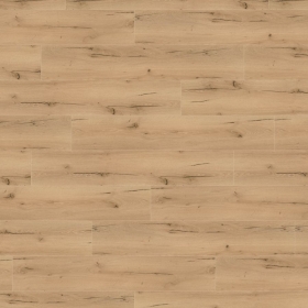 Wineo 1200 XL Klick - Announcing Fritz PLC271R | BioBoden