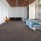 Gerflor Taralay Initial Comfort - Ranch Anthracite 0953 | Rollenware