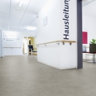 Wineo 1200 XL Multi-Layer - Please meet Paula MLP117R | BioBoden