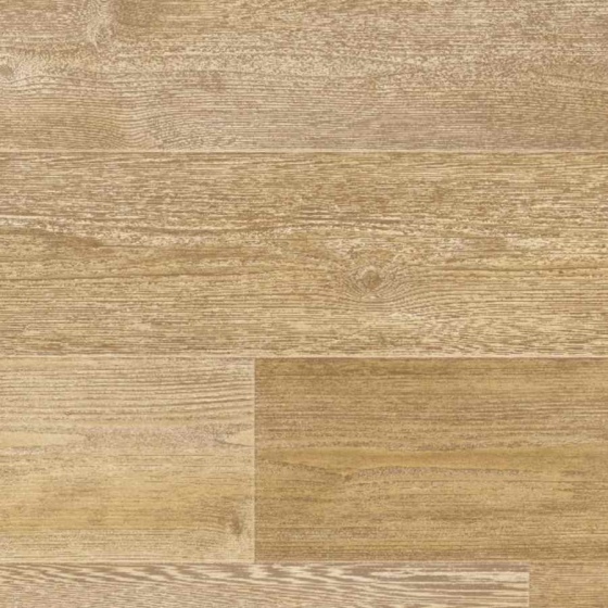 Tarkett Iconik 300 - Meleze NATURAL YELLOW 5338264 | Lieferform: Rolle | Breite: 2,00m