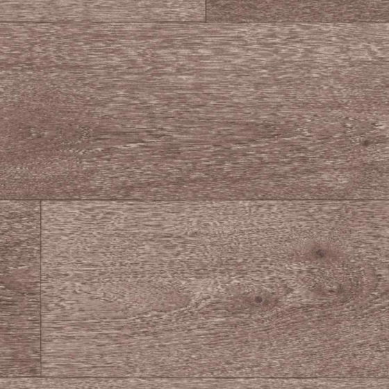 Tarkett Iconik 300 - Swan GREY 5264280 | Lieferform: Rolle | Breite: 3,00m