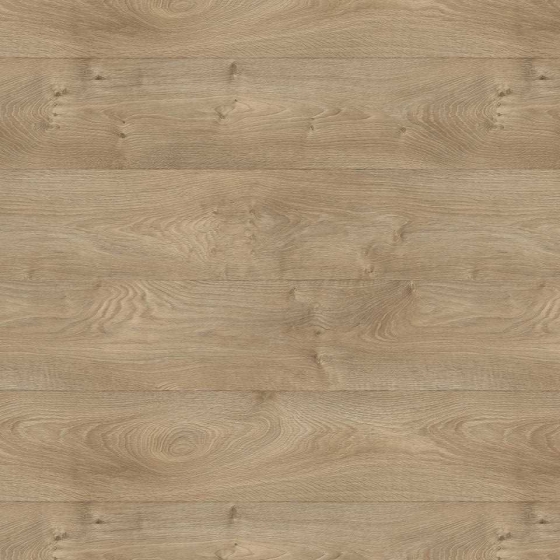Tarkett Iconik 260 - Infinity Oak NATURAL 27125088 | Lieferform: Rolle | Breite: 2,00m