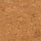 Amorim Wise Cork Pure - Shell Natural AJ8E002 - vorversiegelt | Klebe-Korkboden