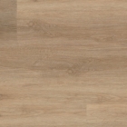 KWG - Sockelleiste Schindeleiche 632431