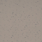 Gerflor Planet - Wood Path 5443 | Rollenware