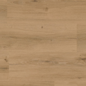 KWG Antigua Classic - Palaceeiche Amalia 543007 |...