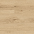 KWG Antigua Professional - Kaschmireiche light 790007 | Klebe-Vinylboden