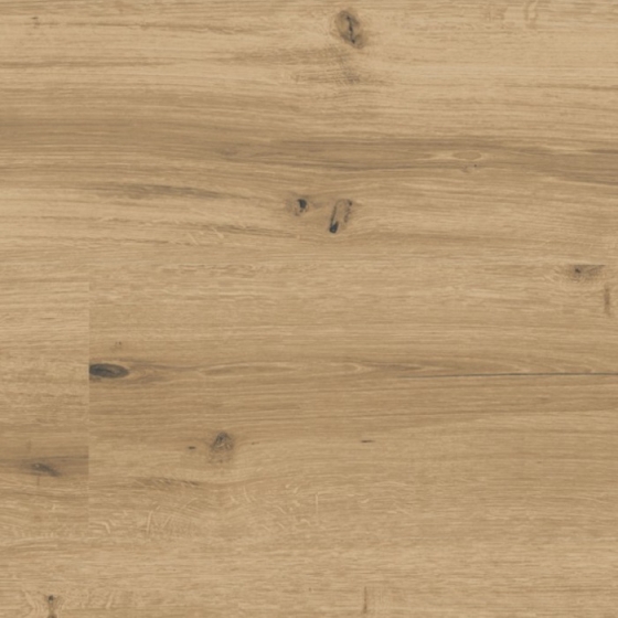 KWG Antigua Professional - Kaschmireiche natur 790008 | Klebe-Vinylboden