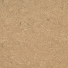 Gerflor DLW Marmorette Neocare - Shortcrust 0042 | Linoleum