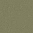 Tarkett Veneto Essenza+ - Khaki 1805757 | Linoleum