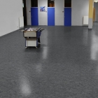 Tarkett Veneto Essenza+ - Stone 1805692 | Linoleum