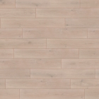 Wineo 1000 XL - Noble Oak Powder PL309R | BioBoden