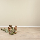 Wineo 1000 XL - Noble Oak Powder PL309R | BioBoden