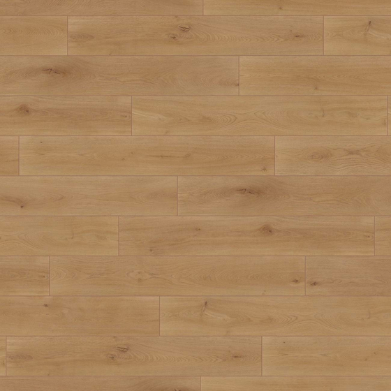 Wineo 1000 XL - Noble Oak Toffee PL311R | BioBoden