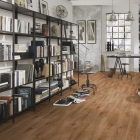 Wineo 1000 L - Intensive Oak Caramel PL300R | BioBoden