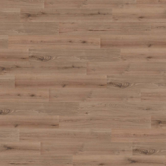 Wineo 1000 Klick L - Strong Oak Cinnamon PLC301R | BioBoden