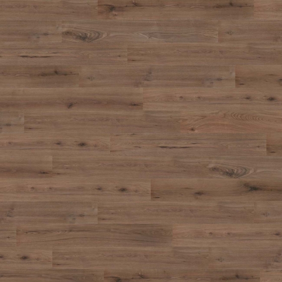 Wineo 1000 Klick L - Strong Oak Cappuccino PLC303R | BioBoden