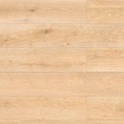 Hinterseer Eterna Loc 8 XXL Aqua - Eiche Taklamakan | Laminat