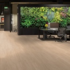 Gerflor Collection 55 - Lounge Oak Beige 1272 | Klebe-Vinylboden