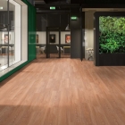 Gerflor Collection 30 - Braukerne Natural 1292 | Klebe-Vinylboden