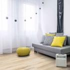 Gerflor Collection 40 - Cedar Pure 0849 | Klebe-Vinylboden