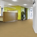 Forbo Tessera Basis Pro - 4202 Buttercup | Teppichfliese