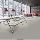 Forbo Tessera Basis Pro - 4211 Sandy | Teppichfliese