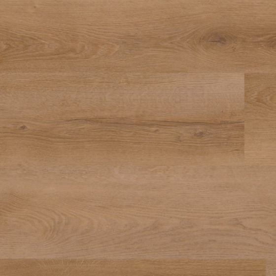 FoxFloors Skala Rigid Click 30 - Eiche Poros 895CL | Rigid-Klickvinyl