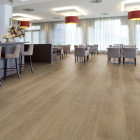 Forbo Allura 70 - Light Giant Oak 60288DR7 | Klebe-Vinylboden