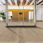 Forbo Allura 55 - Light Giant Oak 60288DR5 | Klebe-Vinylboden