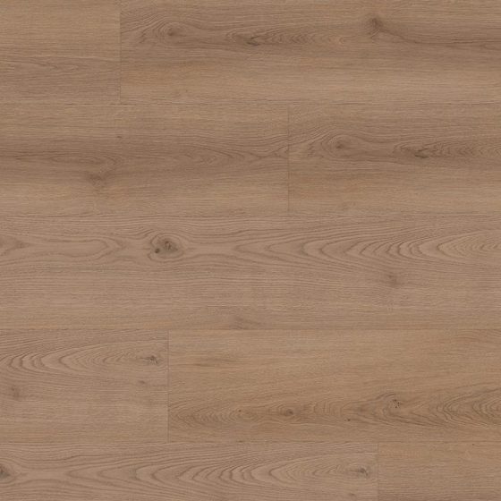 Anaturo Mio 55 Click Plus - Eiche Altenwald 2077 | Rigid-Klickvinyl