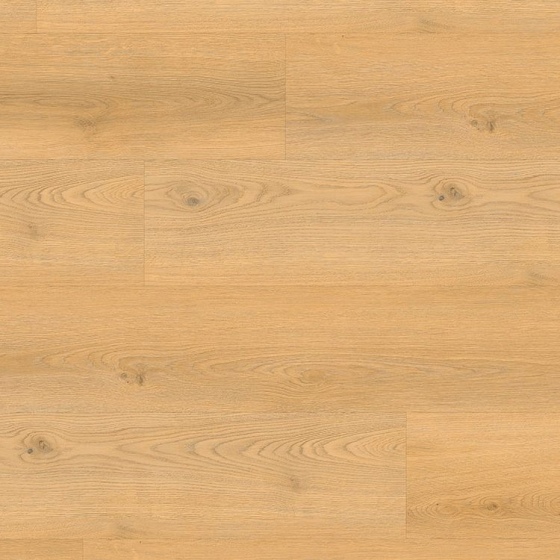 Anaturo Mio 55 Click Plus - Eiche Burbach 2078 | Rigid-Klickvinyl